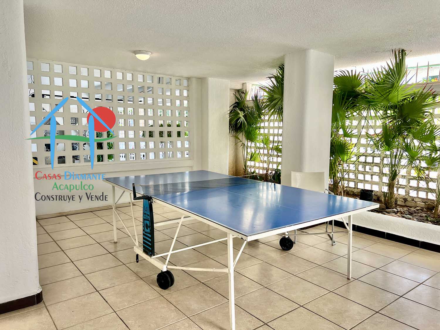 Carlson - Mesa de ping pong 1